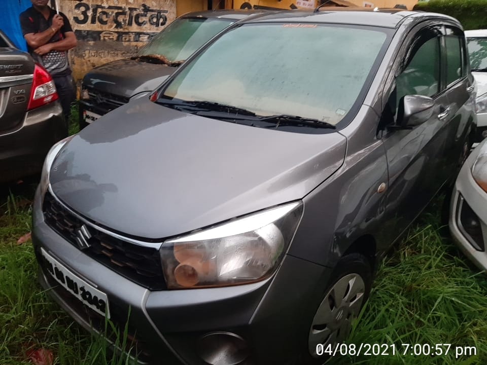 CELERIO 2018 picture 9
